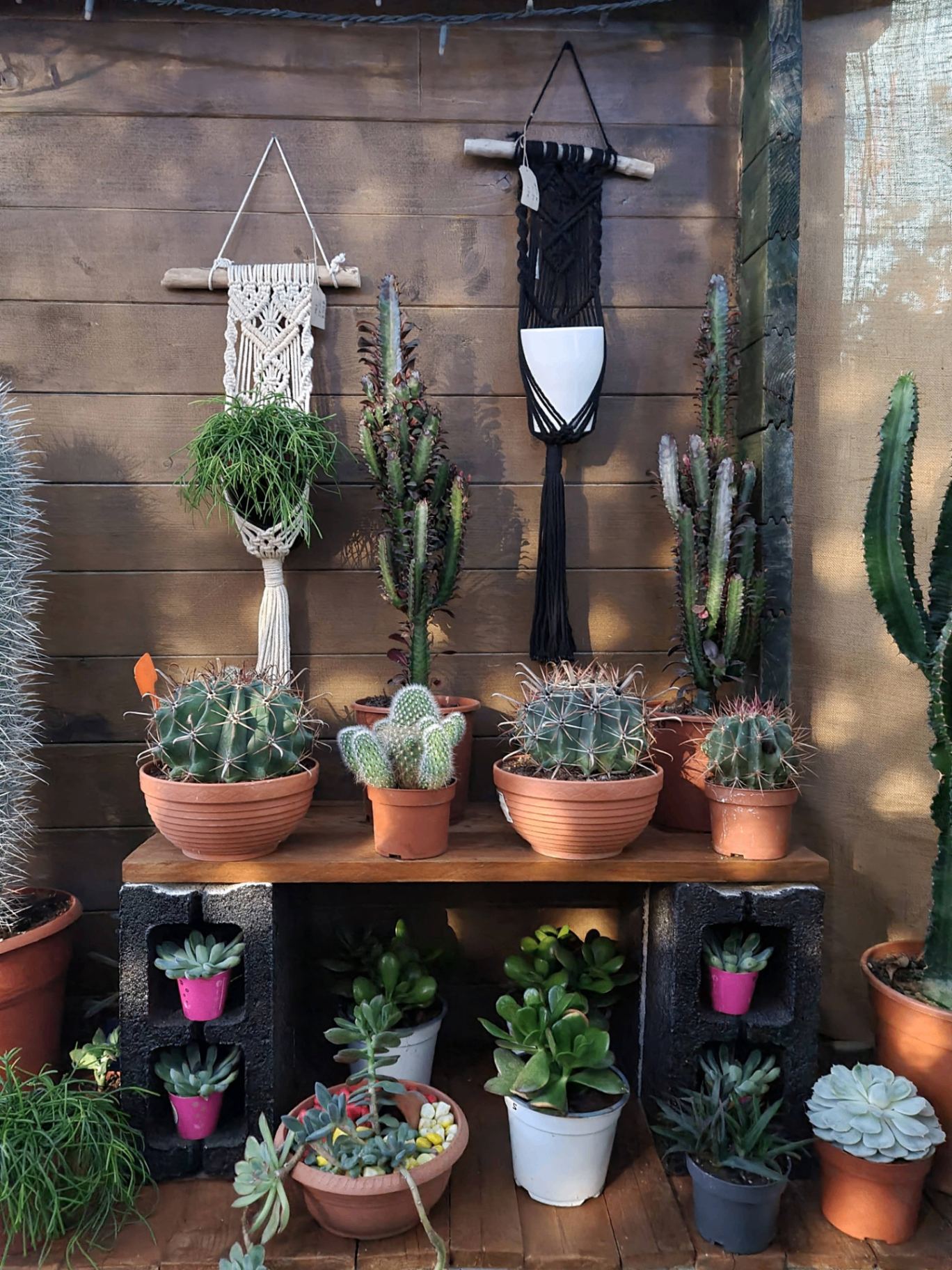 Green Corner