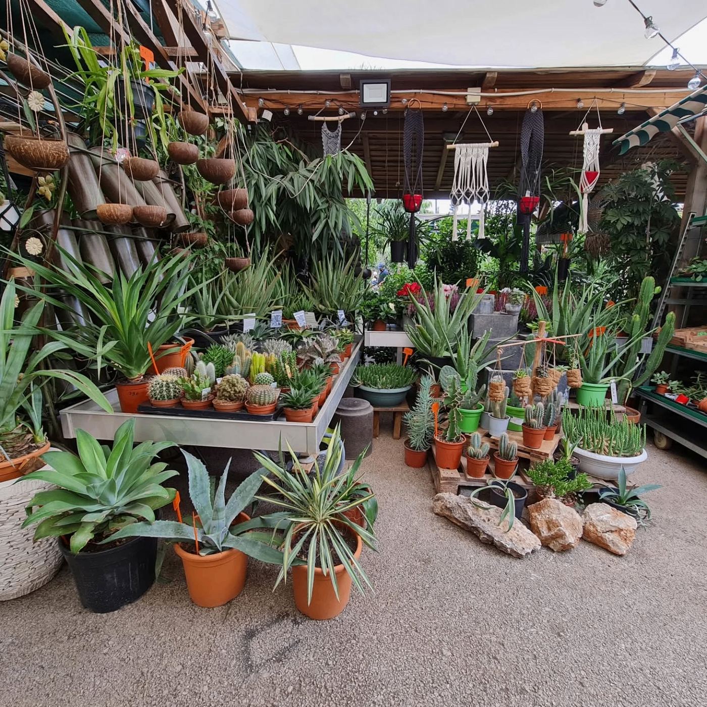 Green Corner