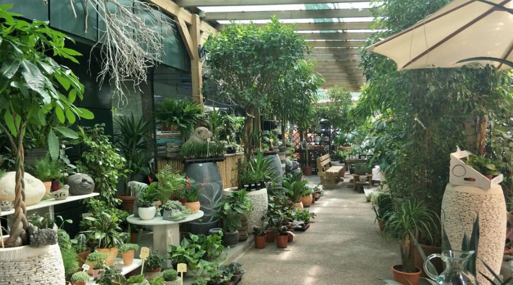 Green Corner