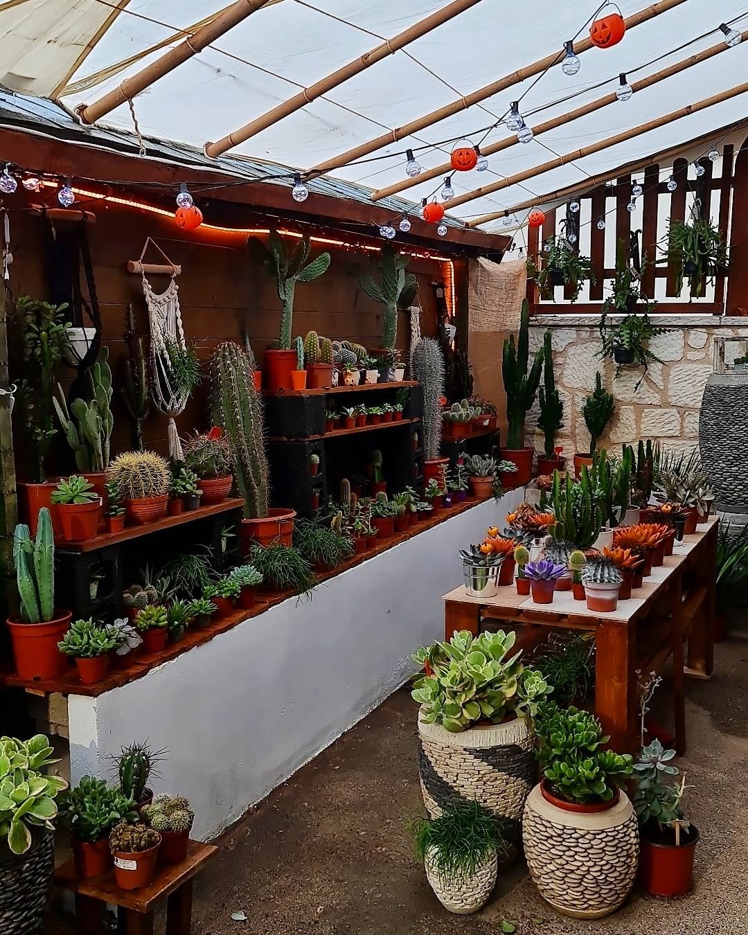Green Corner
