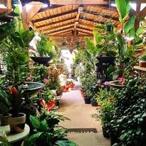 Green Corner