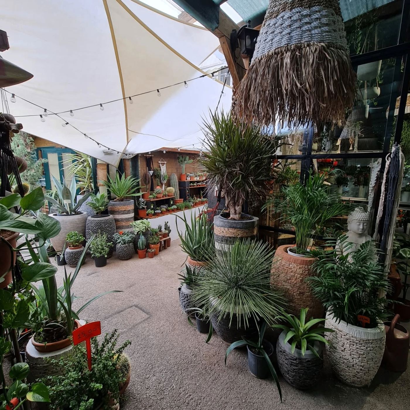 Green Corner