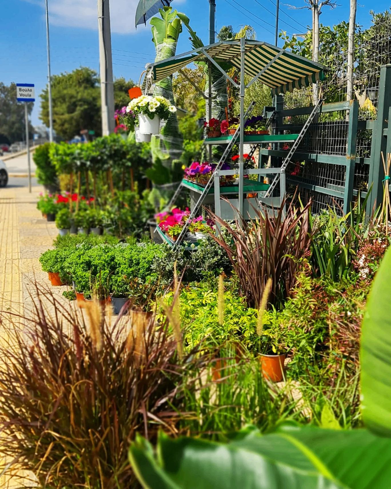 Green Corner